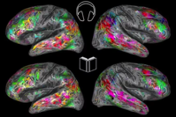 A map of the brain can tell what you re reading about ScienceBlog com