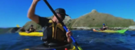 A seal slapped a kayaker with an octopus in viral video and there s a perfectly reasonable explanation