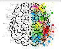 Brain Mind Psychology Free image on Pixabay