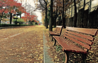 Brown Wooden Bench With Brown Dried Leaves Free Stock Photo