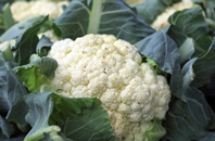 Cauliflower Vegetables Food Free photo on Pixabay