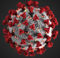 Coronavirus glossary Key terms around the pandemic Los Angeles Times