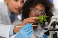 Female scientists examine plant working in genetic 2021 09 01 20 43 25 utc