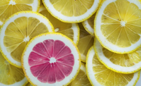 Lemon Citrus Fruit Free photo on Pixabay