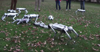 MIT Mini Cheetah robots backflip play with soccer ball in new video Business Insider