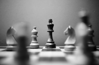 Monochrome Photo Of Wooden Chess Pieces Free Stock Photo