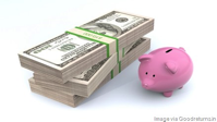 Money and Piggy Bank