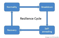 Flowchart highlighting the resilience cycle.