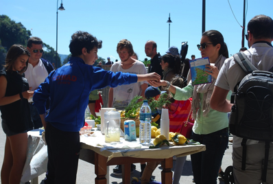 lemonade stand