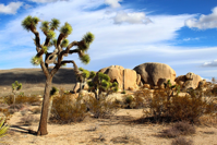 Joshua Tree National Park Mojave Desert Rocks