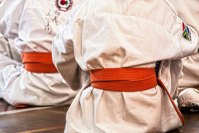  Karate Martial Arts Sport Belt Competition Defense