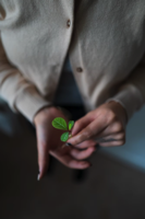 Person in white blazer holding green heart ornament photo Free Human Image on Unsplash