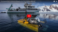 Rare underwater footage shows Antarctic seafloor is teeming with life