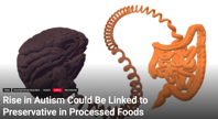 Rise in Autism Could Be Linked to Preservative in Processed Foods