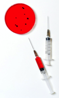 Syringes and Petri Dish on White Background Free Stock Photo