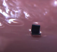 This Robot Can Walk and Swim Inside You Video NYTimes com
