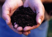 Two hands full of rich moist dark soil or potting 2021 08 29 07 47 19 utc