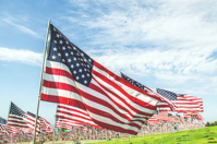 US Flags in a field