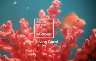 What to Know About the 2019 Pantone Color of the Year Coral Time