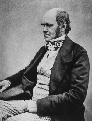 Public Domain - Charles Darwin